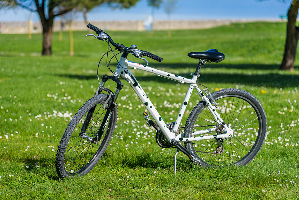 Location vélo VTT Premium sur l'ile de Ré